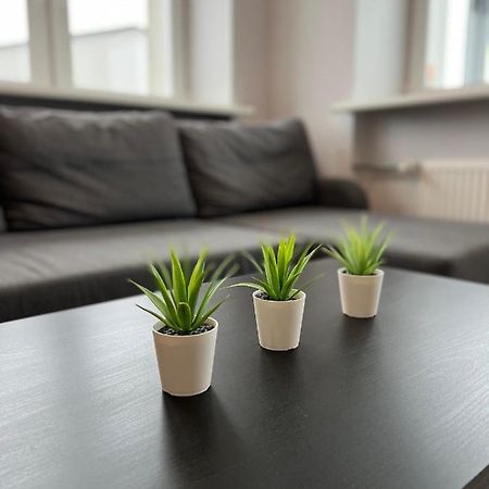 Akmene Center Apartment Naujoji Akmene Dış mekan fotoğraf