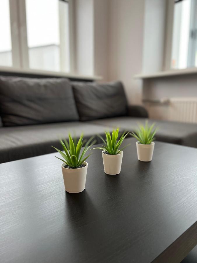 Akmene Center Apartment Naujoji Akmene Dış mekan fotoğraf